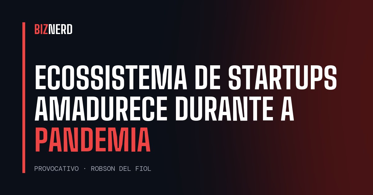 Ecossistema de startups amadurece durante a pandemia